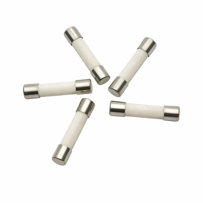 (5 Pack) XP15A-SB Ceramic Line Fuse, Slow Blow, 15A