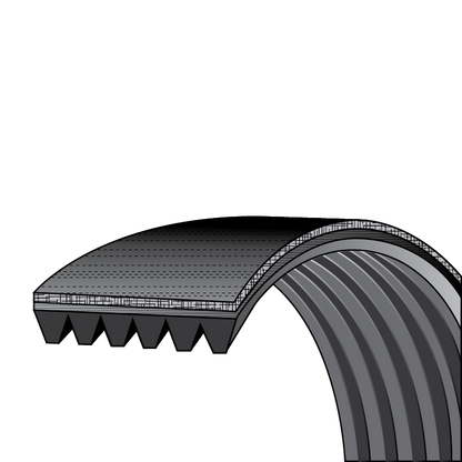 Choice DC66-00805A Dryer Drum Belt AP5916705, PS9605874