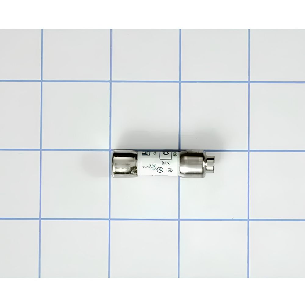 XPARTCO WE1M1002 Dryer Fuse, 30 AMP 120V AP5270172, PS3496852