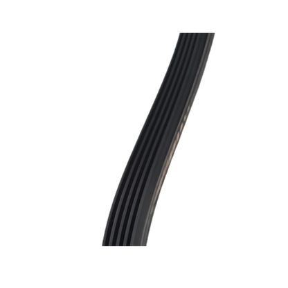 XPARTCO WH01X27538 Washer Drive Belt AP6328256, AGE25699, 290D1101P005
