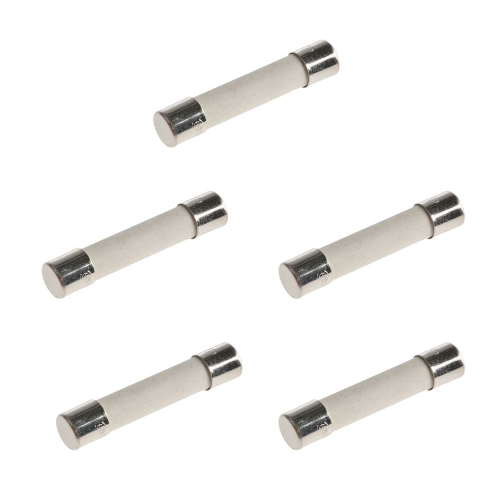 (5 Pack) XP15A-SB Ceramic Line Fuse, Slow Blow, 15A  Parts-O-Matic