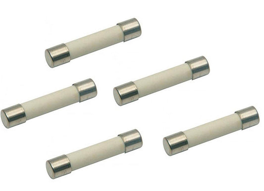 (5 Pack) EXP20A Ceramic Line Fuse, Fast Blow,  20A